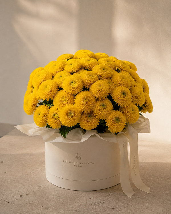 Yellow Chrysanthemum Hat Box by Flowers By Maya, golden pompom chrysanthemums domed in a cream suede hat box