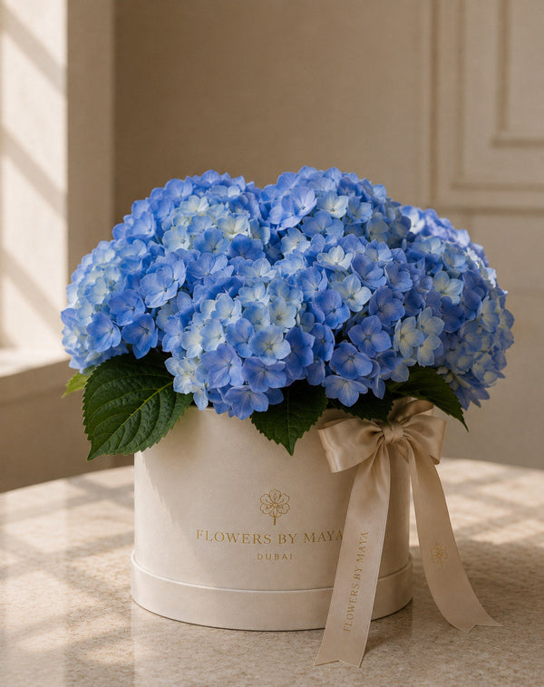 Blue Hydrangea Hat Box by Flowers By Maya, cornflower blue hydrangea heads in a cream suede hat box